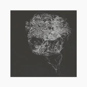 Entities inertias faint beings